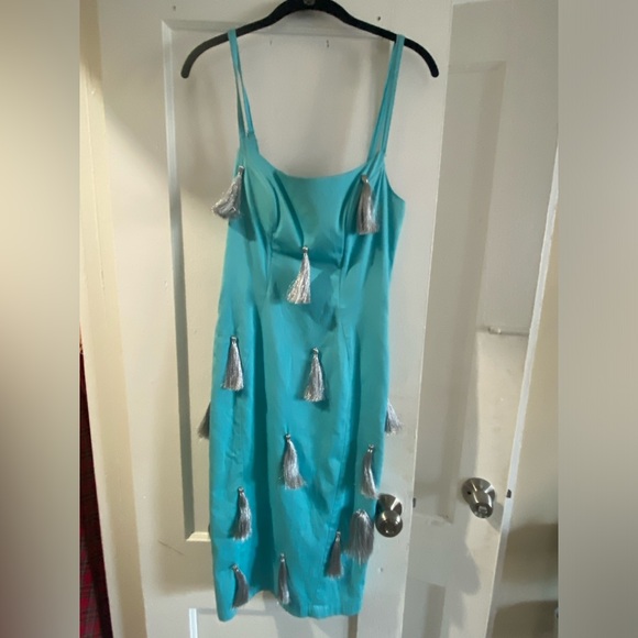 Fun tassel dress! Never worn - Picture 1 of 4